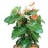 Les plantes déco mariage Anthurium en<a title='bouquet de fleurs pour la saint-valentin' href='http://www.familyby.com/boutiques/detailCategorie/4211' style='text-decoration:none; color:#333'><strong> fleurs</strong></a>
