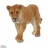 Lionne figurine