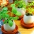 Lot de 3 Egglings oeuf plante