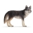 Loup