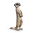 Mangouste Suricate Debout