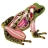 <a title='En savoir plus sur les maquettes' href='http://cadeau.familyby.com/post/12963927765/maquette-voilier' style='text-decoration:none; color:#333' target='_blank'><strong>Maquette</strong></a> de grenouille X-Ray
