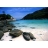 Massage relaxant du corps - Nice