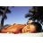 Massage tahitien - Avignon