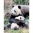 MB Jeux <a title='En savoir plus sur les puzzles' href='http://weezoom.tumblr.com/post/12566332776/puzzle-1000-pieces' style='text-decoration:none; color:#333' target='_blank'><strong>Puzzle</strong></a> 1500 pièces - Géo - Espèces menacées : Pandas