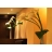 Modelage et shampoing relaxant - Paris 7