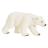 Ours Polaire Femelle