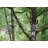 Parcours dans les arbres 77