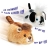 Peluche Furry Frenzies