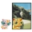 Petshop Chat Persan et Carte Postale