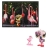 Petshop Flamant Rose et Carte Postale