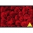Piatnik <a title='En savoir plus sur les puzzles' href='http://weezoom.tumblr.com/post/12566332776/puzzle-1000-pieces' style='text-decoration:none; color:#333' target='_blank'><strong>Puzzle</strong></a> 1000 pièces - Roses Rouge