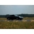 Pilotage Monoplace et Porsche