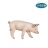 Porc Cochonnet mâle figurine Papo