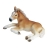 Poulain Haflinger couché
