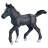 Poulain Lipizzan