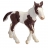 Poulain Tinker