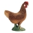 Poule