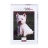 <a title='En savoir plus sur les puzzles' href='http://weezoom.tumblr.com/post/12566332776/puzzle-1000-pieces' style='text-decoration:none; color:#333' target='_blank'><strong>Puzzle</strong></a> 500 pièces