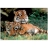 <a title='En savoir plus sur les puzzles' href='http://weezoom.tumblr.com/post/12566332776/puzzle-1000-pieces' style='text-decoration:none; color:#333' target='_blank'><strong>Puzzle</strong></a> 500 pièces GEO