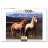 <a title='En savoir plus sur les puzzles' href='http://weezoom.tumblr.com/post/12566332776/puzzle-1000-pieces' style='text-decoration:none; color:#333' target='_blank'><strong>Puzzle</strong></a> série nature 1000 pièces