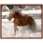 <a title='En savoir plus sur les puzzles' href='http://weezoom.tumblr.com/post/12566332776/puzzle-1000-pieces' style='text-decoration:none; color:#333' target='_blank'><strong>Puzzles</strong></a> 200 pièces