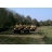 Quad et Jet-Ski Charente