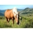 Randonnée en cheval d'une journée