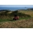 Randonnée touristique en quad 1h30