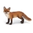 Renard