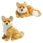 Renard roux
