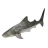 Requin Baleine