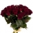 Roses Elégance : 50 cm Bouquet de roses Black Baccara