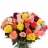 Roses Elégance : 50 cm Bouquet de roses multicolores