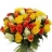 Roses Élégance : 50 cm Bouquet de roses Tricolore