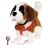 Saint Bernard Billy