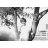 Seance photos tirages papier CD et toile 1m25x1m75 - Deauville
