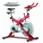 Spinning SB2