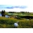 Stage de golf pour junior (7 à 15 ans)