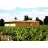 Stage d'Oenologie Château Baulos-Charmes
