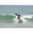 Surf Cap Ferret