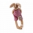 Sylvain le lapin 'les tout-petits'