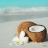 Tableau design BEACH COCONUTS