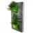 Tableau végétal design Parlyn 60 cm