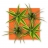 Tableau végétal-Uni Carton Mandarine 4 plantes