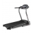 Tapis de course Eco II