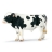 Taureau Holstein