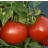 Tomate Reine de Sainte Marthe AB