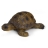 Tortue