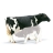 Vache Holstein